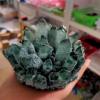 bayline 200-800g Natural Green Quartz Crystal Cluster rock stones and crystals mineral Specimen Home decor (Size : 200-250g) view 4