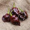 Potseed Le Piante di Verdure Chilli FAI da Te in Vaso dell'interno Paprika Esterno per Il Giardino Della casa germinazione Tasso del 95% a 100 Pz: 21 view 1