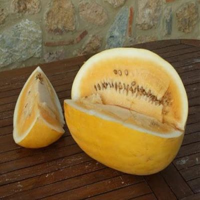 10 SEMI DI ANGURIA Gialla A BUCCIA Gialla