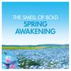 Bold All-in-1 PODS Washing Liquid Capsules 112( 4x28) Washes, Spring Awakening Washing Detergent, For Brilliant Clean With Built-In Fabric Softener view 2