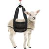 Skyverty Calf Sling for Weighing Small Animals, Livestock Sling, Hanging Scale, Hanging Scales for Weighing view 4