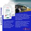Nutrilus N-Acetyl Cysteine (NAC) 120 Capsules 600mg High Bioavailability Amino Acid Supplement - Vegan - UK Made - Liver, Lungs Support, Antioxidant view 3