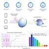 RICCIE Men's rimless pure titanium anti-blue reading glasses, aspheric tree HD resin lenses/anti-radiation magnifying lenses diopter +1.0 to +3.0,03,+2.5 view 2