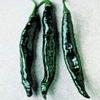 10 Semi di PEP111 Pasilla Bajio (piccante, Caldo al Leggermente Hot Pepper) view 1