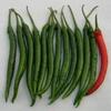 10 Semi di TRN086 Prik Chi FAA (Medium Hot Pepper giapponese) view 1