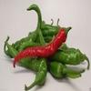 Lungo sottile Pepe di cayenna (Capsicum annuum) freschi, essiccati, in salamoia, Hot Sauce (50 semi) view 1