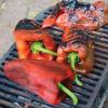 25 semi di Ancho Magnifico Pepper view 1