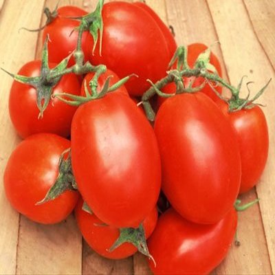 100 Semi di Roma VF - Pomodori Pasta