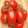 100 Semi di Roma VF - Pomodori Pasta view 1