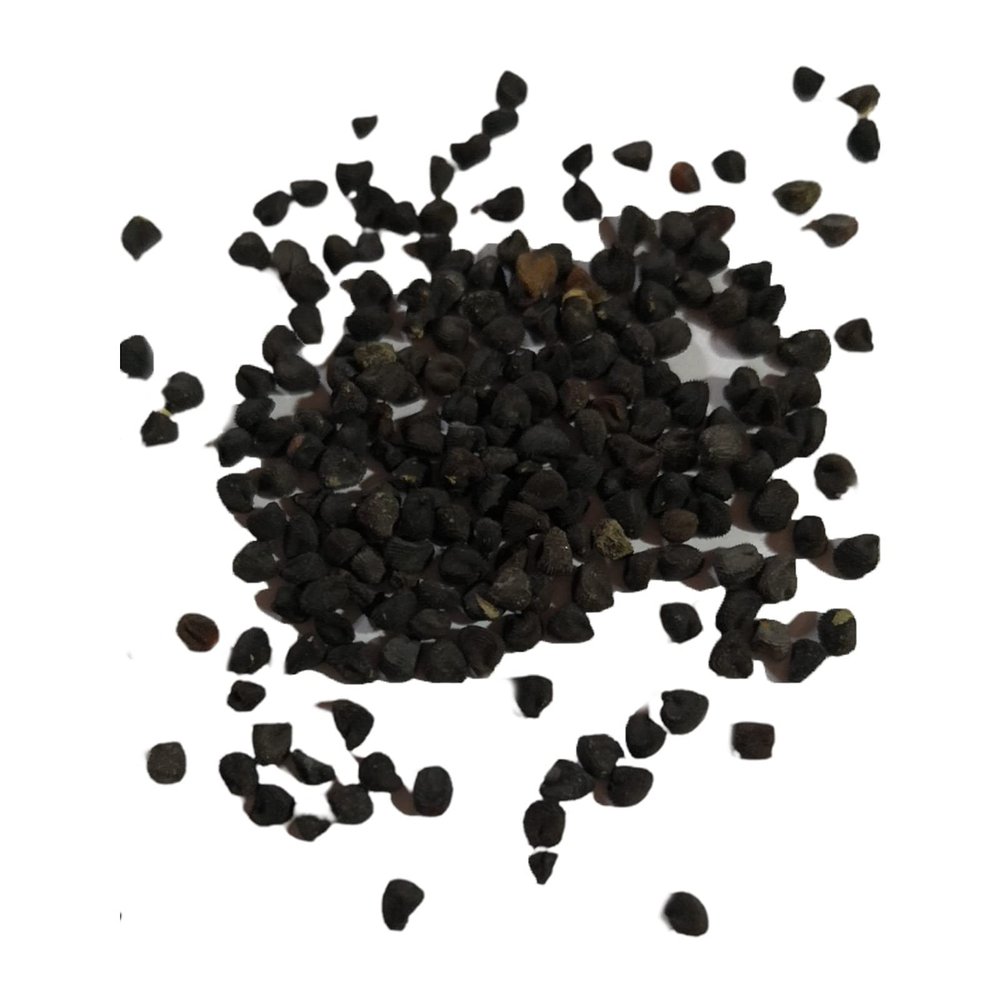 1 sacchetto di semi di erbe naturali freschi pieno di vitamine profumati semi di Curry per la fattoria semi di Curry per Donne, uomini, Bambini, principianti, giardinieri Regalo