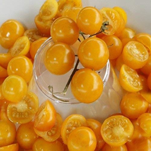 5 pacchetti di 25 semi gialli Semi-Cherry Tomato Della zia di Ruby