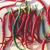 10 Semi di PEP749 Joes Lungo Cayenne (Lievemente Hot Pepper) view 1