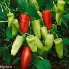 25+ Premium Heirloom Golden Greek Pepperoncini organico Pepe Semi-D 102