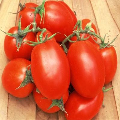 250 Semi di Roma VF - Pomodori Pasta