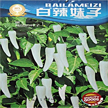 Semi Little White Hot Chilli Pepper, confezione Originale, 250 semi/Pack, Heirloom Spicy Pepper KK004