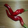 25+ Speciale Spazio Chili HJ-7 Super Pepper Nova organico Semi-D 67 view 1