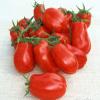 250 Semi di San Marzano - Pomodori Pasta view 1