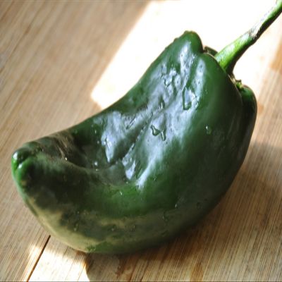 25 Pasilla Ancho Semi poblano Mild Chili Chile Pepper, Capsicum annuum, Chilaca