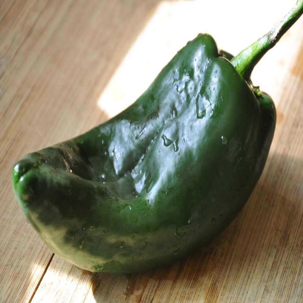 25 Pasilla Ancho Semi poblano Mild Chili Chile Pepper, Capsicum annuum, Chilaca