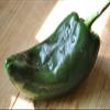 25 Pasilla Ancho Semi poblano Mild Chili Chile Pepper, Capsicum annuum, Chilaca view 1