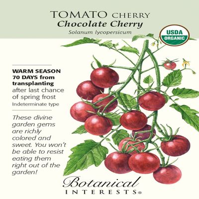 Cioccolato Organic Tomato Cherry - 20 Semi