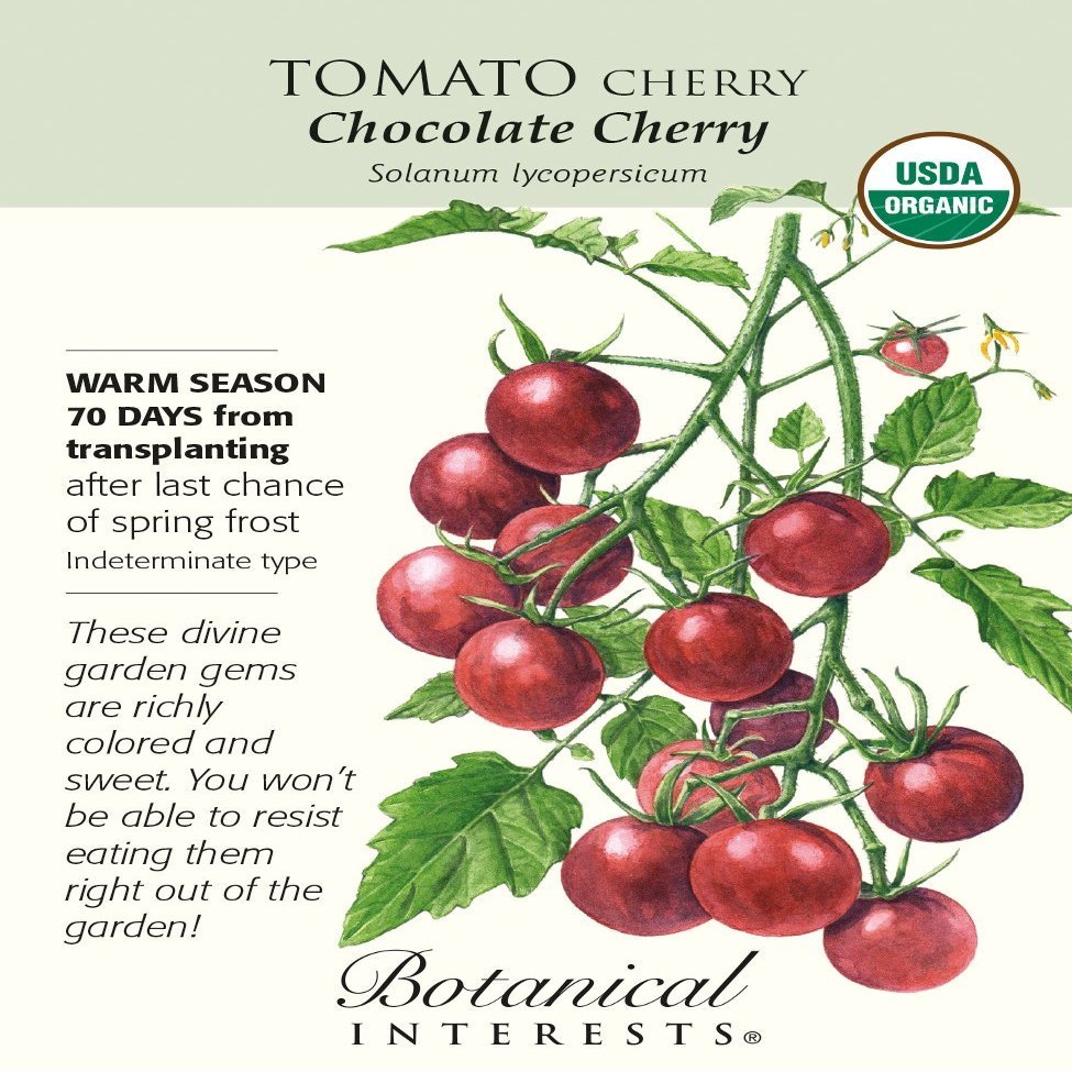 Cioccolato Organic Tomato Cherry - 20 Semi