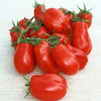 100 Semi di San Marzano - Pomodori Pasta