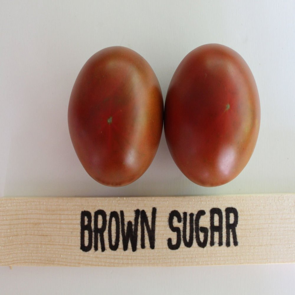 Brown Sugar pomodoro 40+ semi biologici freschi per il 2017