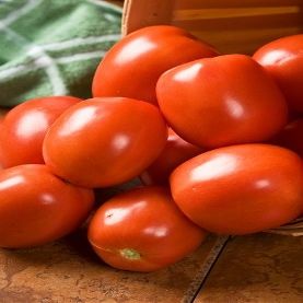 250 Semi di Yaqui VFFNA Hybrid - Pomodori Pasta