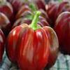25 + Fresh Organic Heirloom Super Red Pimento Pepe Semi-D 147 view 1