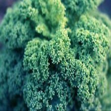 56g Nani Blu arricciato Kale Semi ~ 16.000 Ct sano Superfood Inverno Veggie Stati Uniti d'America