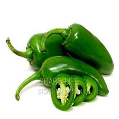 100 semi/pacchetto, Verde Verdura Jalapeno peperoncino, Messico Super Hot Pepper