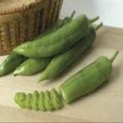 10 Semi di PEP079 Big Cile ibrida (tipo Cile Mild Hot Pepper)