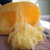 100 semi Spaghetti Squash Zucca invernale 70 giorni view 1