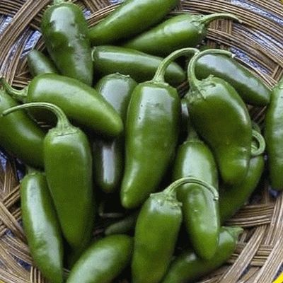50 Semi Jalapeno Hot Pepper