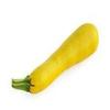 5.6g organico oro Zucchini Semi ~ 40ct Giallo Bush ~ Zucchino estivo