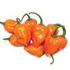 10 Semi di TRM865 Yucatan ibrida Habanero (Hot Pepper stagionatura) view 1