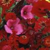 100 semi di semi di Fiori Fiore Rosso Wildflower Wildflower Mix selvaggio view 1