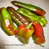 Pepper 'Dolce Gigante Marconi' (30 sementi biologiche) Italiana Dolce frittura Pepper