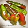 Pepper 'Dolce Gigante Marconi' (30 sementi biologiche) Italiana Dolce frittura Pepper view 1