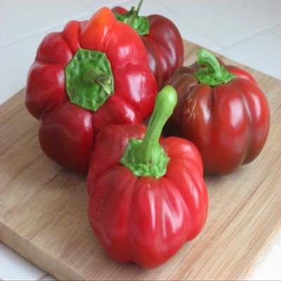10 semi - Pimento del peperone Dolce