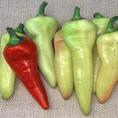 50 Sementi di Pepe - Sweet Sweet Banana