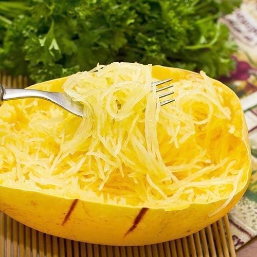 Portal Cool Zucchini Zucca Spaghetti zionale F1 semi gialli organici Ucraina 6 Pezzi