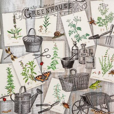 20 Napkins Growing of Herbs | Garden | Table Decoration | Decoupage | Napkin Technology 33 x 33 cm