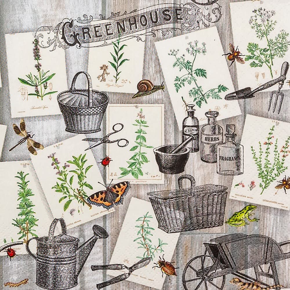 20 Napkins Growing of Herbs | Garden | Table Decoration | Decoupage | Napkin Technology 33 x 33 cm