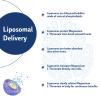 Liposomal Magnesium Softgels 2000mg (60 Count (Pack of 4)) view 3