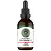 Liquid Chlorophyll Drops for Water - British-Grown Chlorophyll - High Strength Chlorophyll Liquid 6000mg - Made in UK - 2 Month Supply view 1
