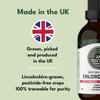 Liquid Chlorophyll Drops for Water - British-Grown Chlorophyll - High Strength Chlorophyll Liquid 6000mg - Made in UK - 2 Month Supply view 2