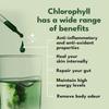 Liquid Chlorophyll Drops for Water - British-Grown Chlorophyll - High Strength Chlorophyll Liquid 6000mg - Made in UK - 2 Month Supply view 4