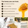 HONEY FOR LIFE  Australian Jarrah Honey TA35+ MGO 1125+  Extremely Active Stronger Than Manuka Honey 1000 MGO  Manuka Honey Alternative  Cold Pressed & Unpasteurised, Glass Jar  500g (1 Pack) view 4